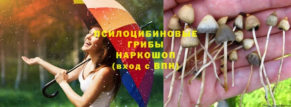 сатива Киренск