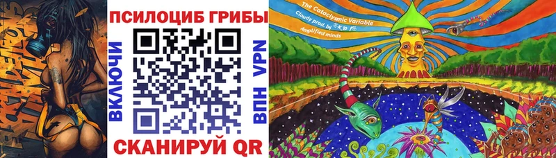 Купить закладки  Ужур  Галлюциногенные грибы Psilocybine cubensis 